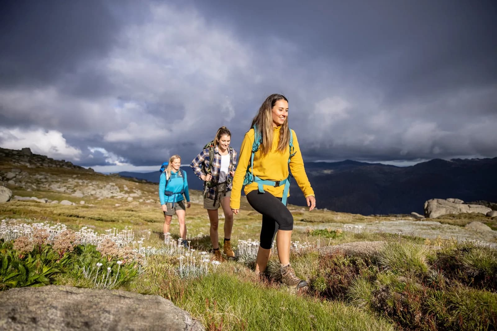 Three hikers on an alpine walking track above Thredbo in summer